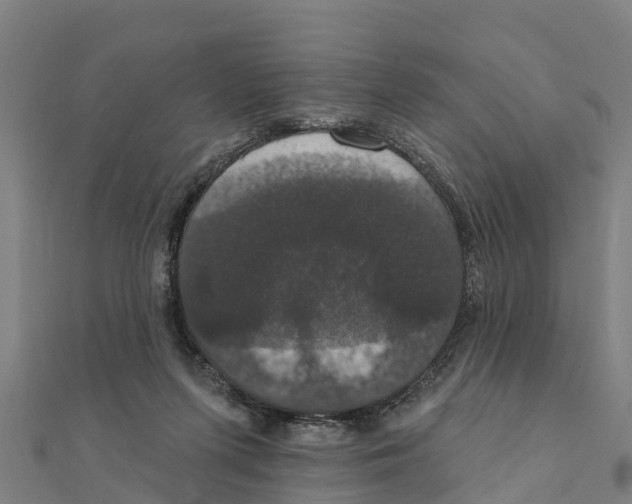 X0000111590215200908131348