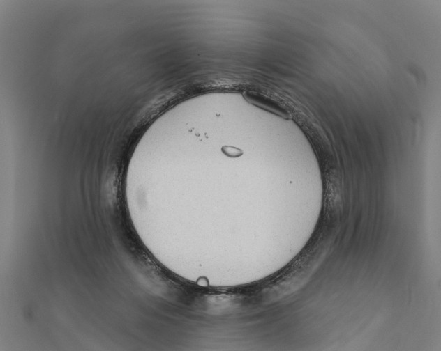 X0000111590216200908131348