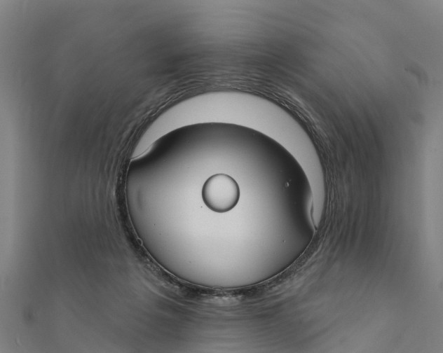 X0000111590217200908131348