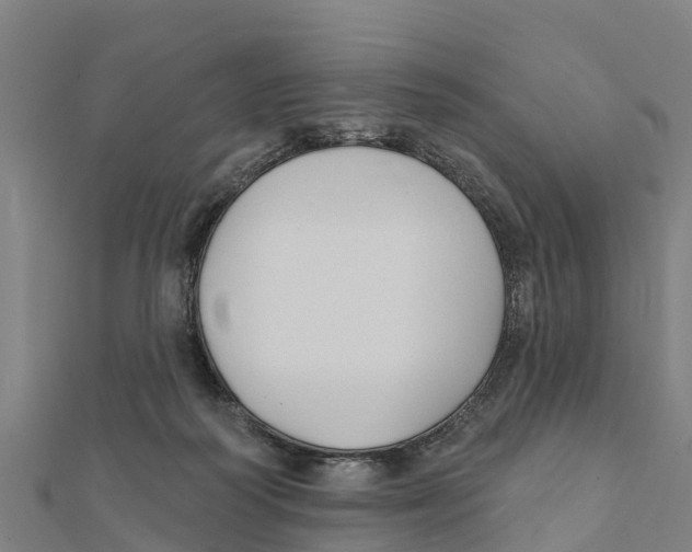 X0000111590218200908131348