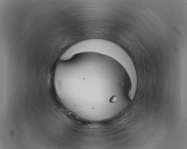 X0000111590219200908131348