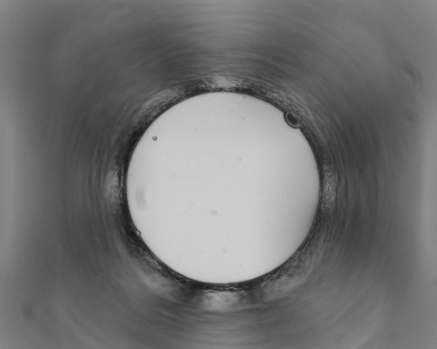 X0000111590220200908131348