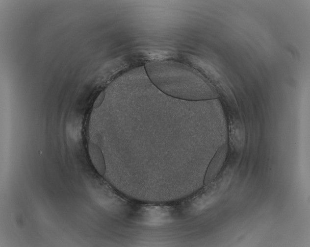 X0000111590221200908131348