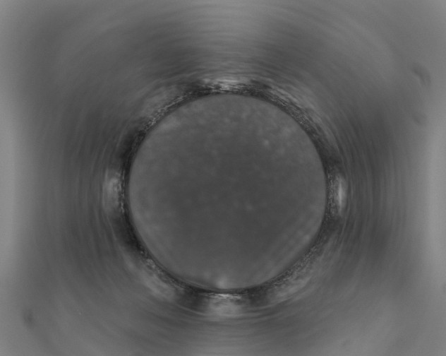 X0000111590222200908131348