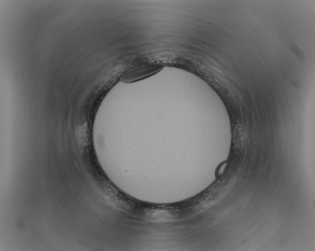 X0000111590224200908131347