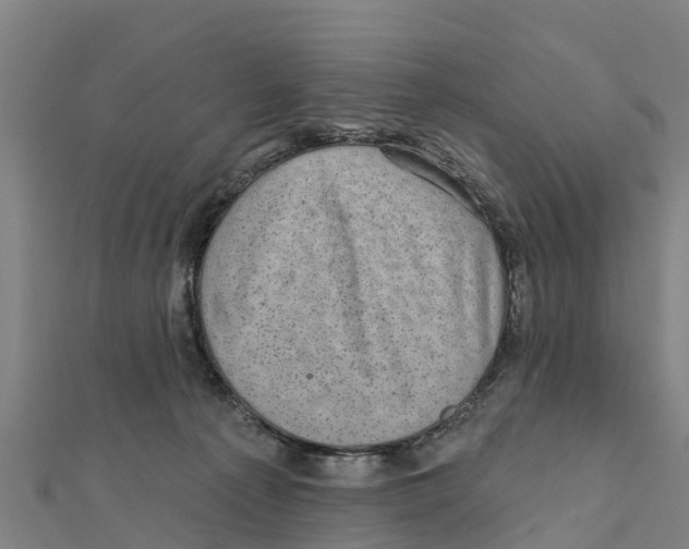 X0000111590225200908131347