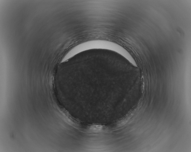 X0000111590227200908131347