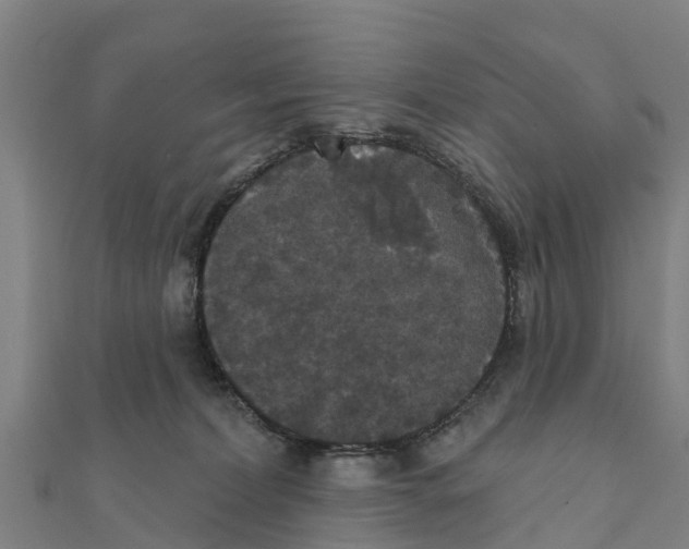 X0000111590228200908131347