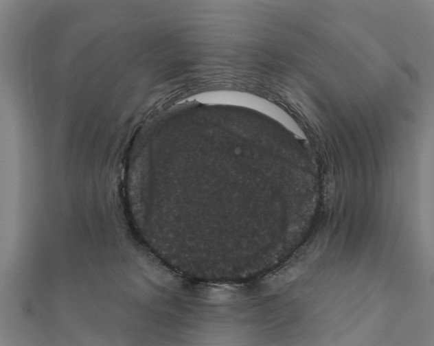 X0000111590229200908131347