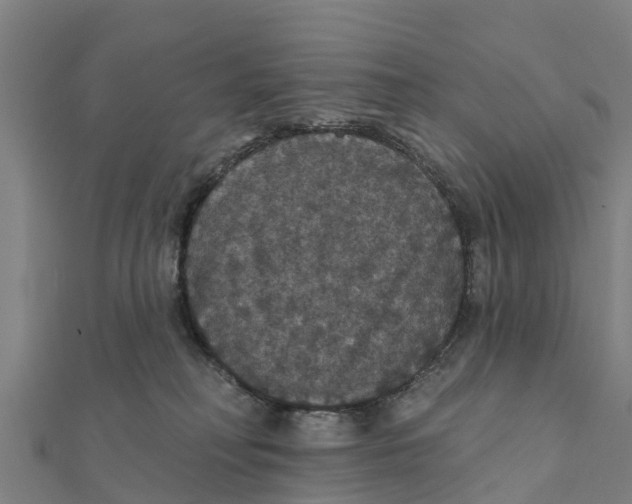 X0000111590230200908131347