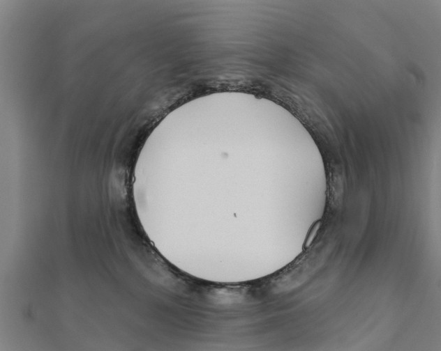 X0000111590232200908131347