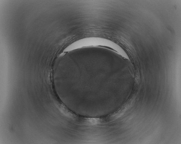 X0000111590233200908131347