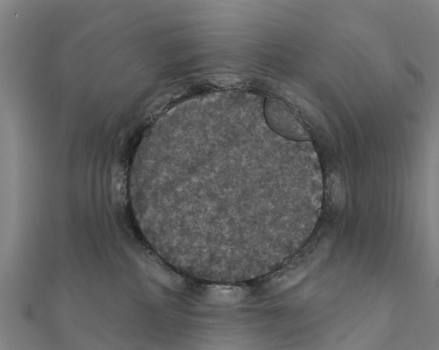 X0000111590234200908131347