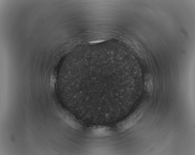 X0000111590235200908131347