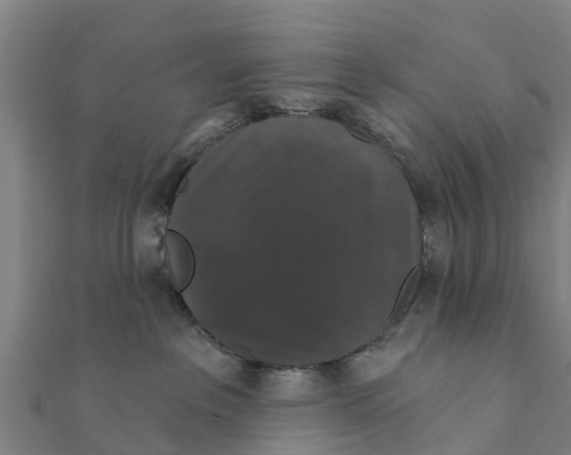X0000111590237200908131347
