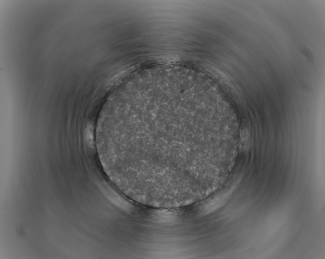 X0000111590238200908131347