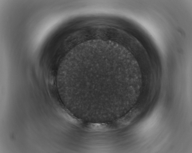 X0000111590239200908131347