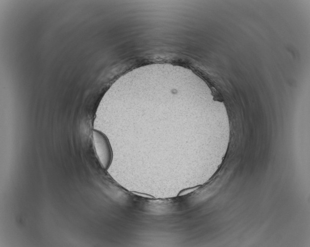 X0000111590240200908131347