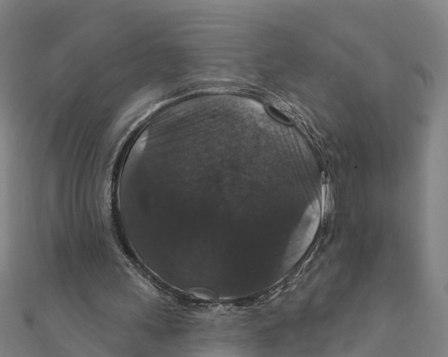 X0000111590243200908131347