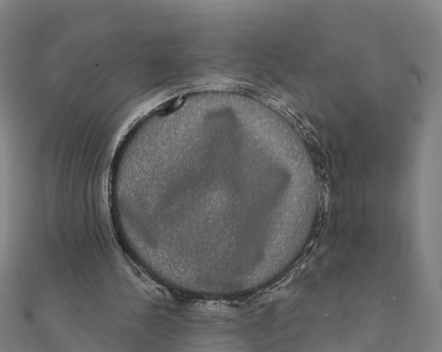 X0000111590244200908131347