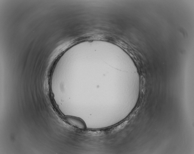 X0000111590245200908131347
