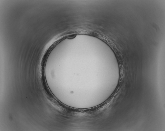 X0000111590246200908131347