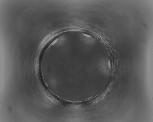 X0000111590247200908131347