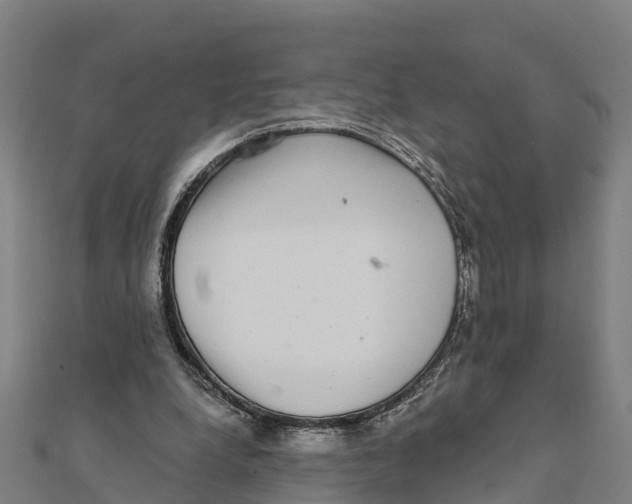 X0000111590248200908131347
