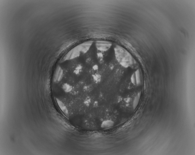 X0000111590249200908131347