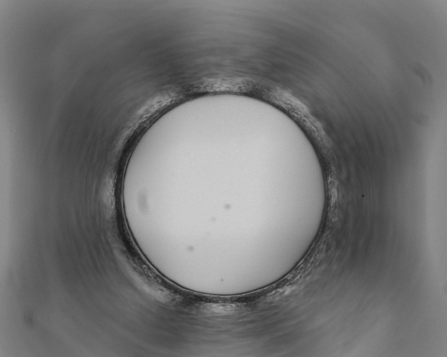 X0000111590250200908131347