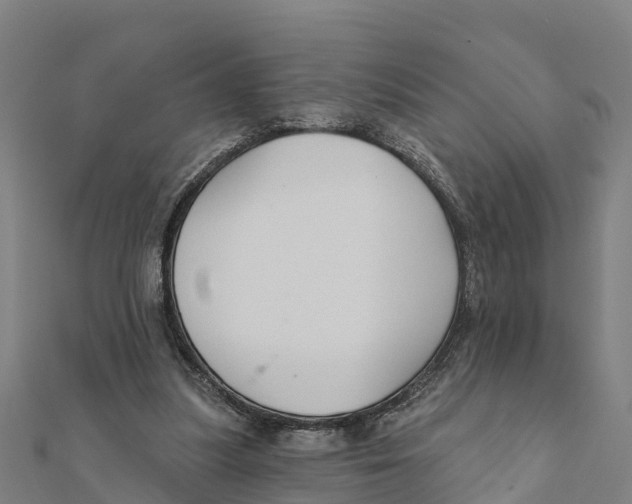 X0000111590251200908131347