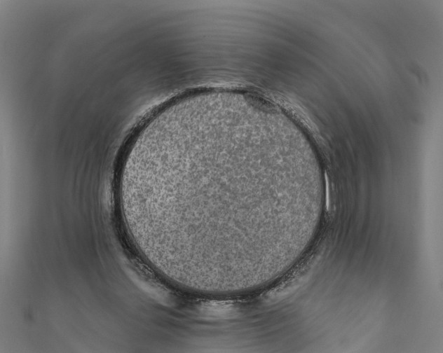 X0000111590252200908131347