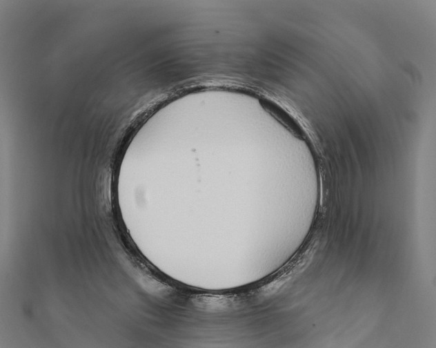 X0000111590253200908131347