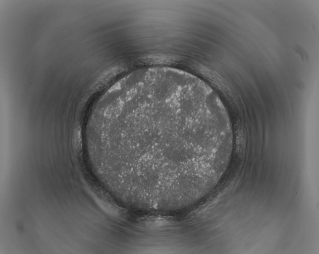 X0000111590254200908131347