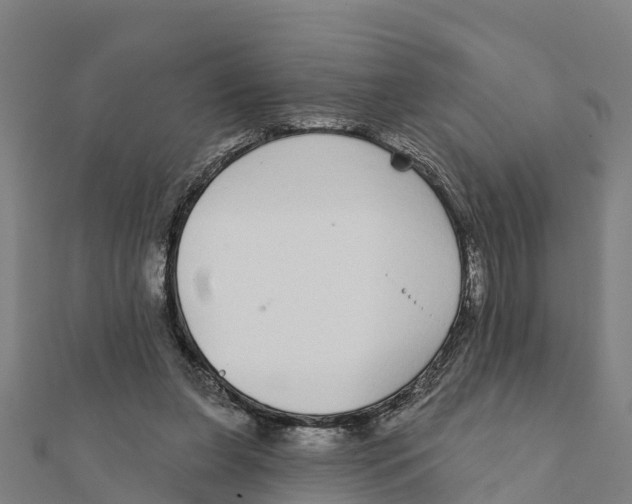 X0000111590255200908131347