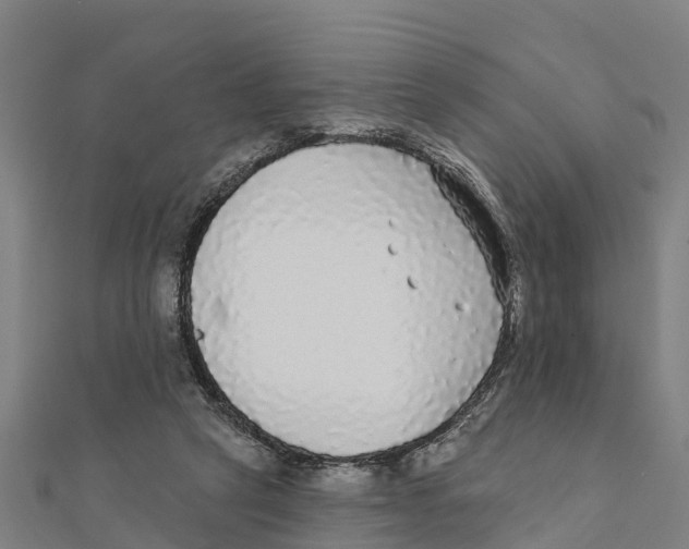 X0000111590257200908131347
