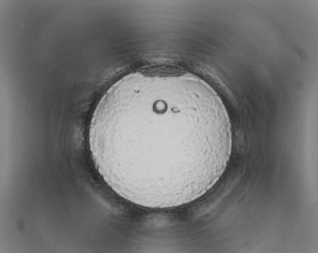 X0000111590259200908131347