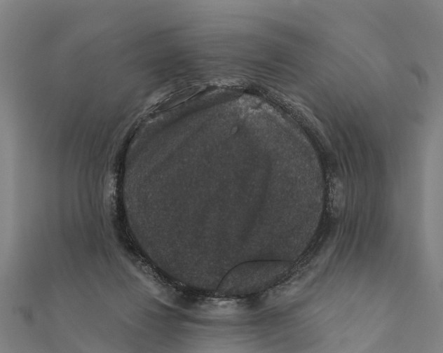 X0000111590260200908131347