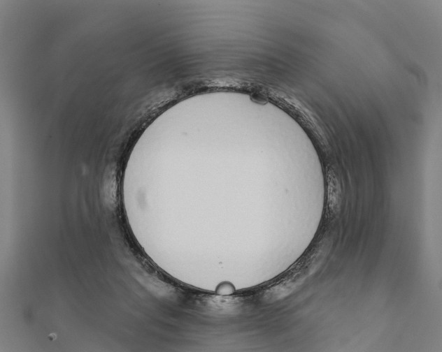 X0000111590261200908131347