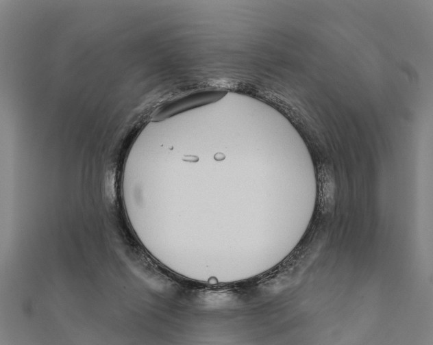 X0000111590262200908131347