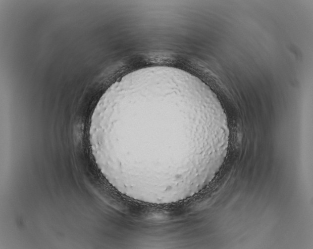 X0000111590263200908131347