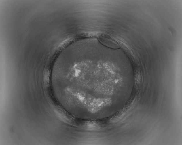 X0000111590264200908131347