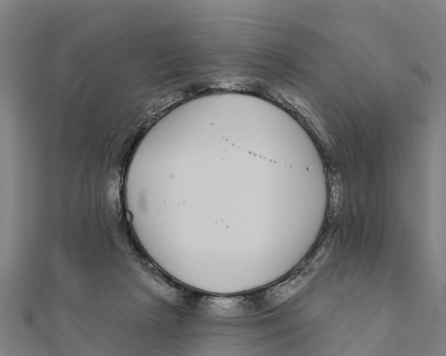 X0000111590265200908131347