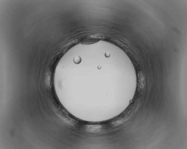 X0000111590266200908131347