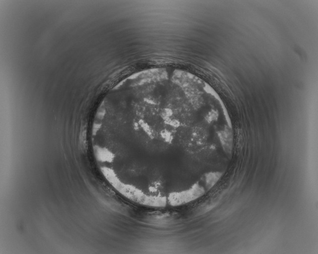 X0000111590267200908131347