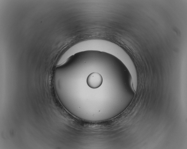 X0000111590268200908131347