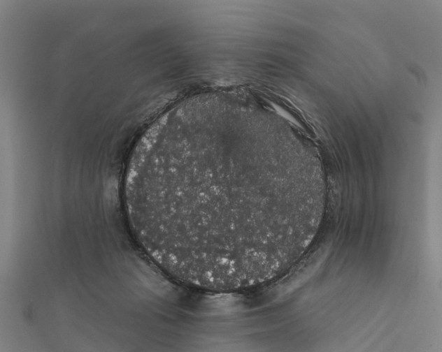 X0000111590269200908131347