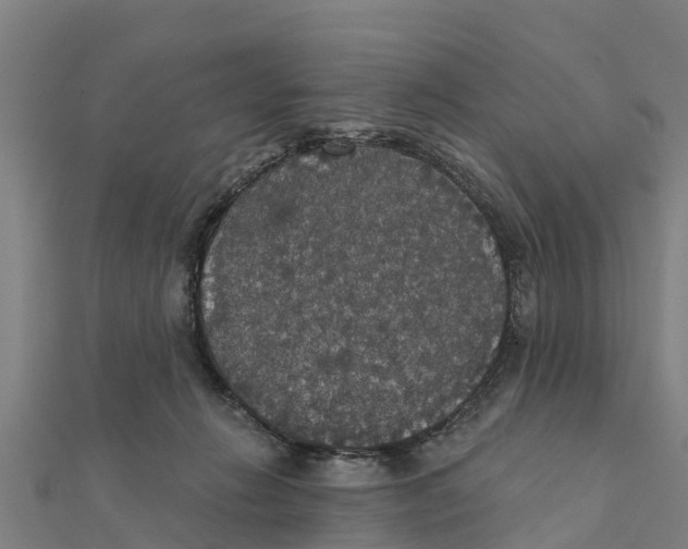 X0000111590270200908131347