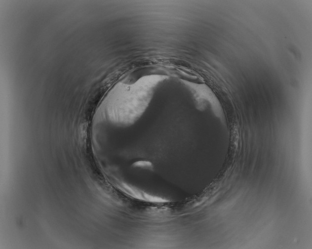 X0000111590271200908131347