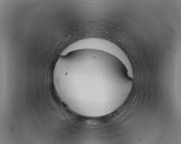 X0000111590272200908131347